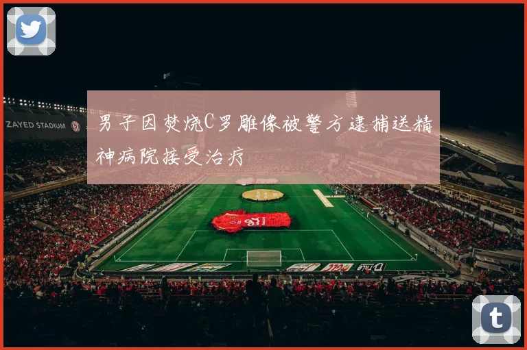 男子因焚烧C罗雕像被警方逮捕送精神病院接受治疗