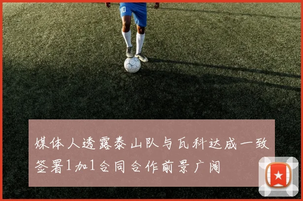 媒体人透露泰山队与瓦科达成一致签署1加1合同合作前景广阔